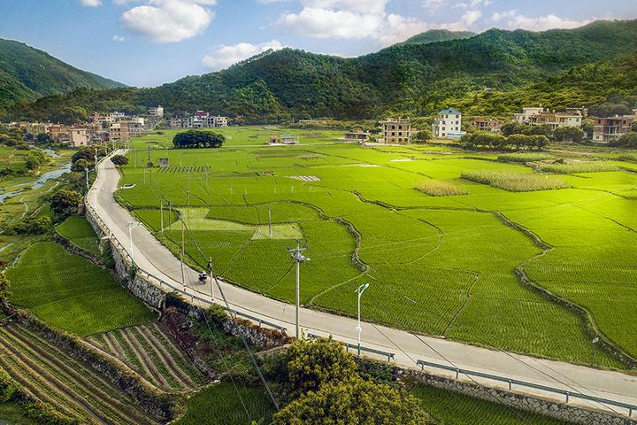 着眼生态宜居,努力建设美丽乡村.