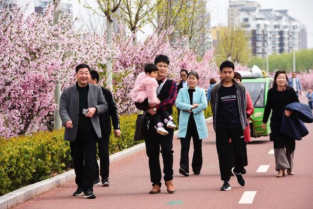 驻马店西平：海棠绽放烘染泼积  小县城呈现都市风范