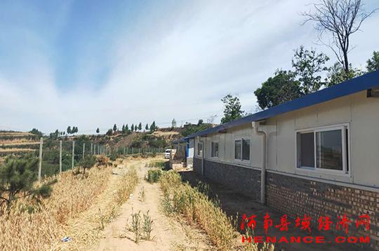 三门峡湖滨区：养野兔 在脱贫新路上助跑