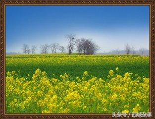 月亮湾风景——新野5A级景区即将横空出世