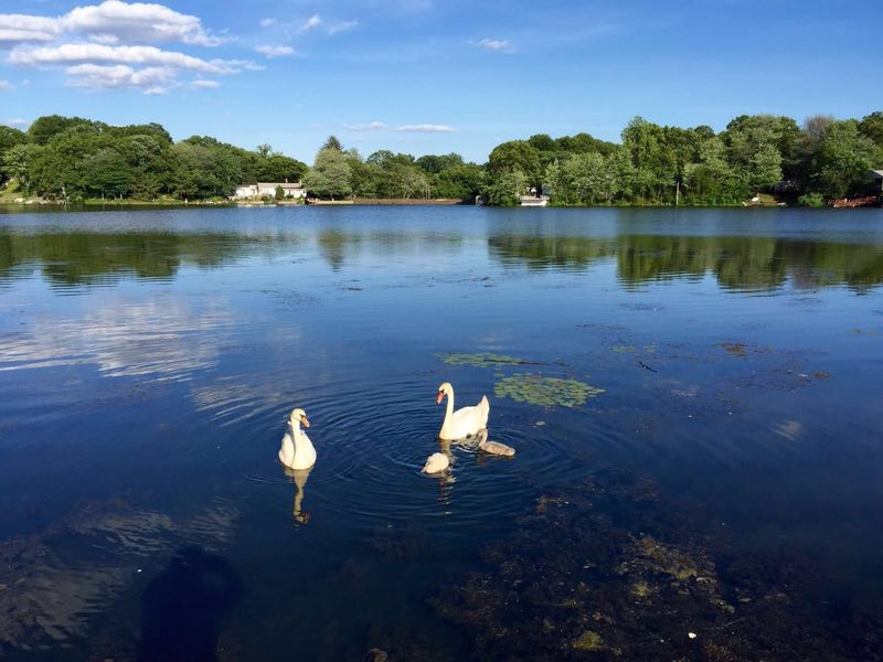 漫谈冰凌《希思湖》中的空间隐喻与文化身份重构-华闻时空