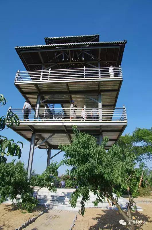 碧海银滩桃花园  生态旅游新农村