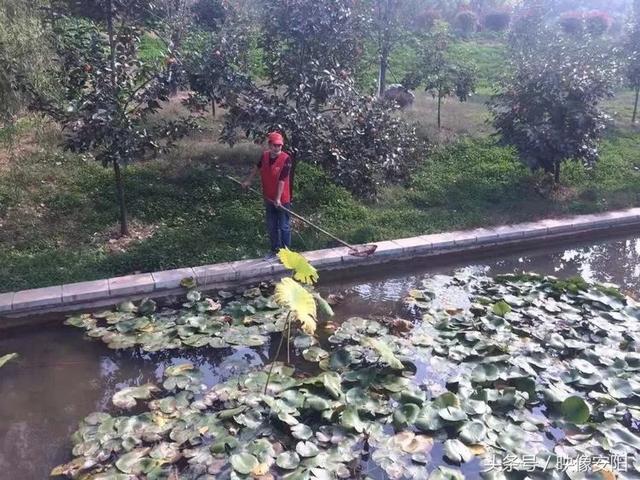 携手文明旅游，靓丽大美林州