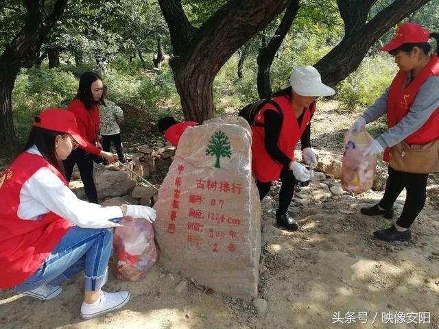 携手文明旅游，靓丽大美林州