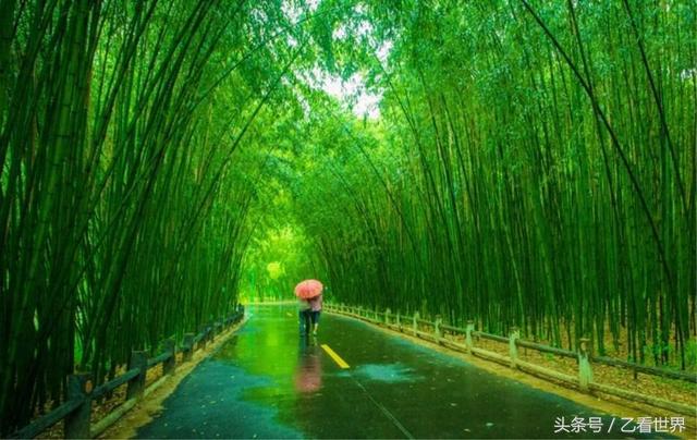 河南洛阳栾川县九个值得一去的旅游景点，个个风景如画