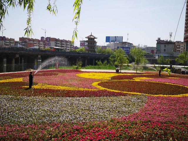 灵宝市环城桥下风景如画 夏季游玩好去处