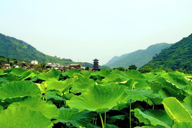 西安自驾游暑期最美路线攻略，平利龙头村-古仙湖-正阳草甸