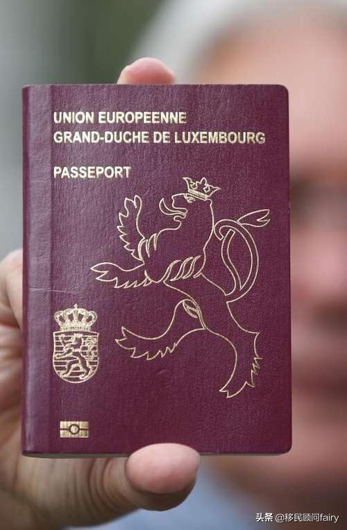 卢森堡,免签证入境:155个国家.瑞士,免签证入境:155个国家.
