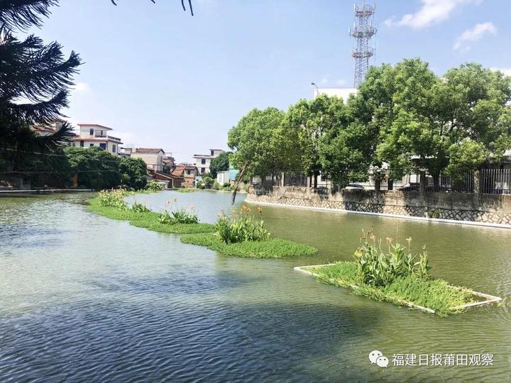 后亭自然村生态氧化塘还河道清澈.俞靓 摄