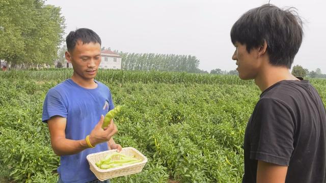 河南郸城：打造“归雁经济”助推乡村振兴