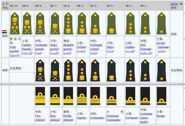 叙利亚三军很看重国徽,元帅军衔上有所体现,不愧为阿拉伯雄鹰