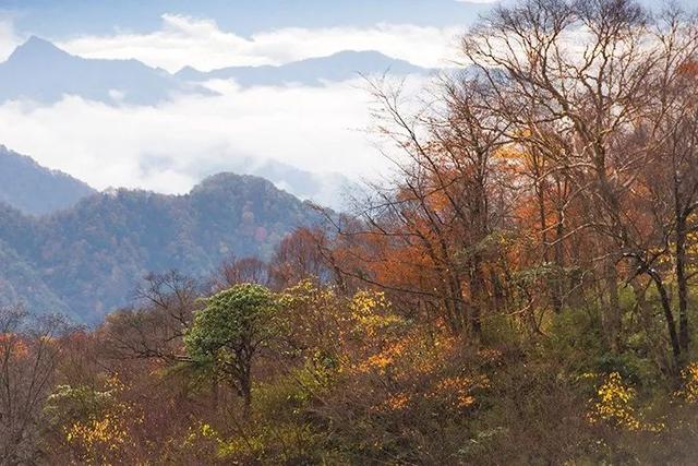 秦岭深处的这个小县,其他地方有的秋色这里都有,还更适合自驾