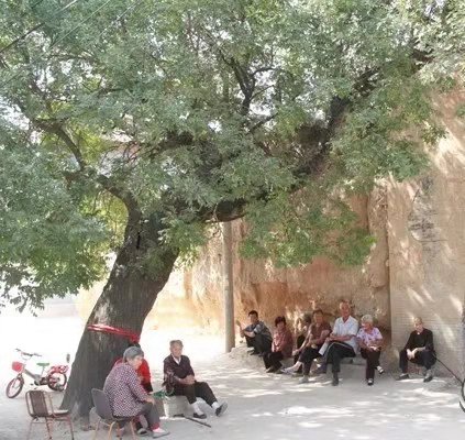 【都市头条向幸福出发编辑部】第769期 李炳天乡愁之八 ——— 从此我憎恨风