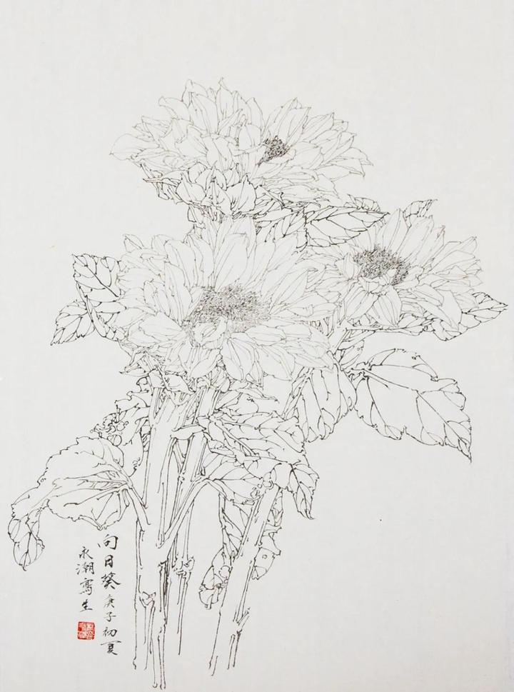 《花鸟画线描》