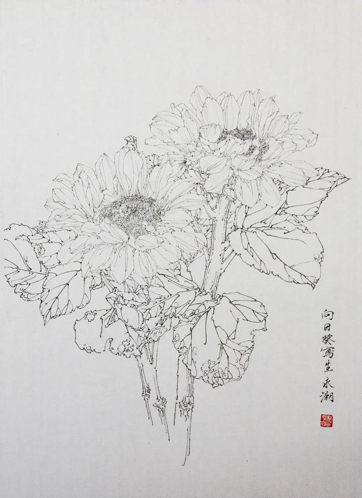 《花鸟画线描》