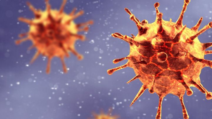 Coronavirus: por qué covid-19 se llama así y cómo se nombran los virus y las enfermedades infecciosas - BBC News Mundo