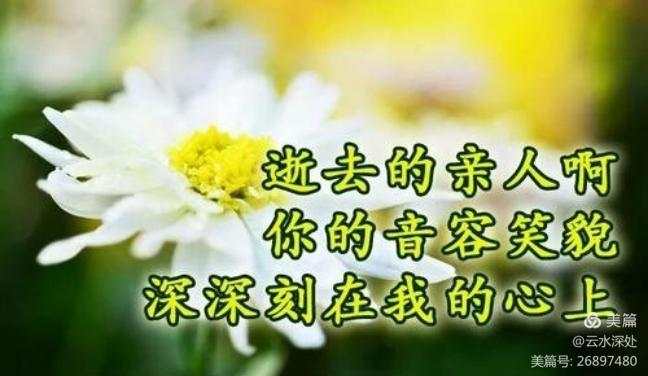【都市头条向幸福出发编辑部】第771期 李炳天将军乡愁之十 永远的陪伴（图2）