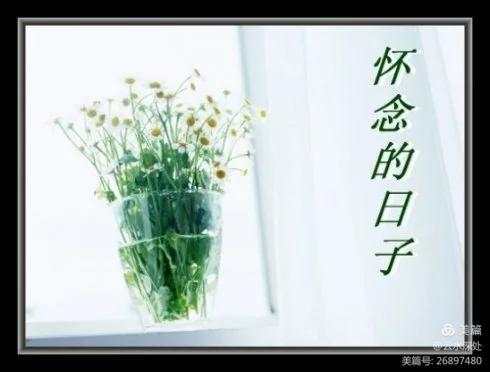 【都市头条向幸福出发编辑部】第771期 李炳天将军乡愁之十 永远的陪伴（图4）