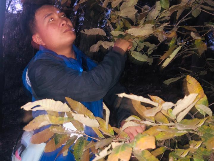 【河南新密】伏羲山最美“普查员”