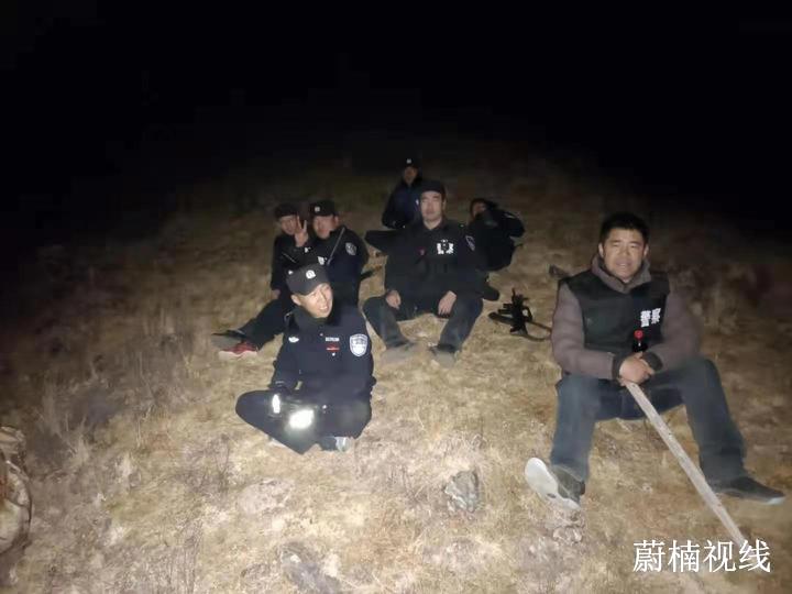 疯狂盗牛终落网 全心为民获称赞