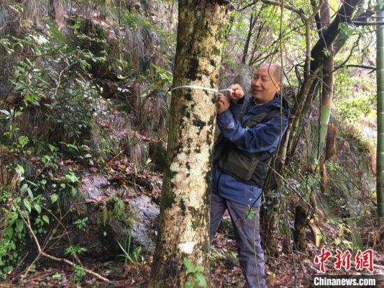 4月13日，李振基教授在武夷山国家公园开展调查。张丽君 摄