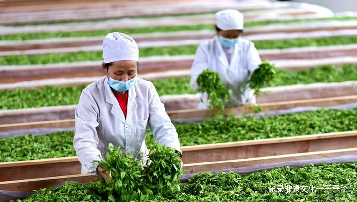 贵州省委副书记蓝绍敏：贵茶相伴、终生无憾——在第13届贵州茶产业博览会开幕式上讲话