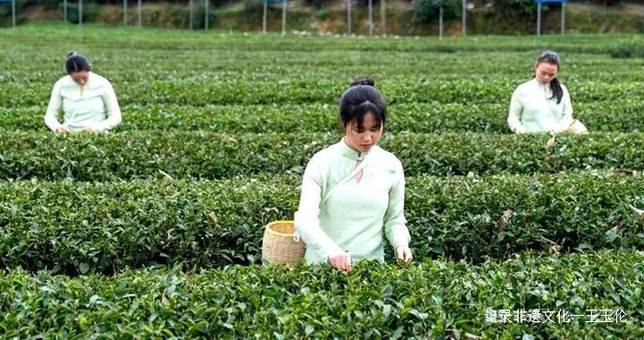 贵州省委副书记蓝绍敏：贵茶相伴、终生无憾——在第13届贵州茶产业博览会开幕式上讲话