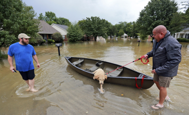 美国密西西比暴雨引发洪涝市民划船出行