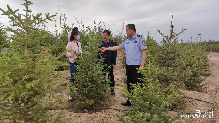 张掖市公安局森林分局协同合作 开展林业植物检疫联合执法