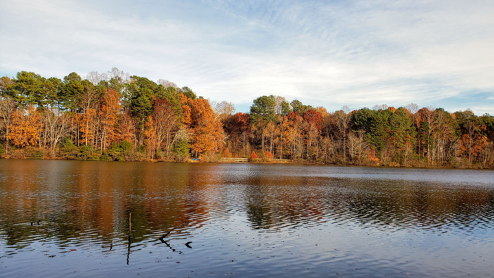 fall foliage along lake