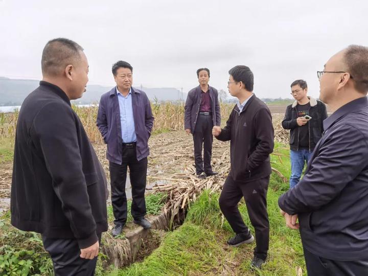 陕西宝鸡:陈仓区委常委,统战部长王亚海检查指导阳平镇防汛排涝相关工