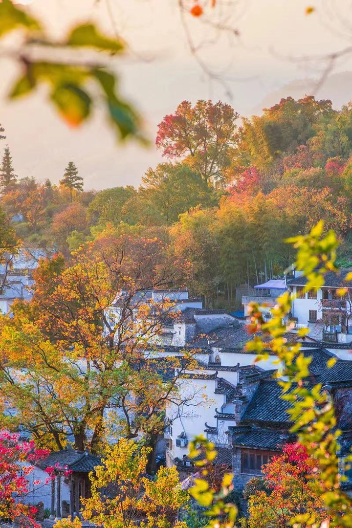 黟县塔川景区