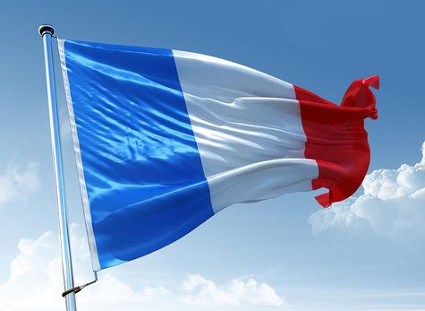 法国国旗三块颜色有一块被马克龙改了