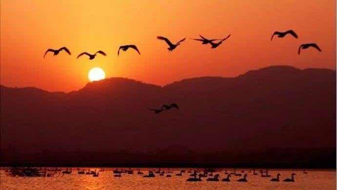 赶海(图11)