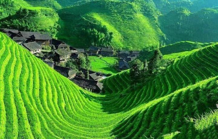 桂林山水(图24)