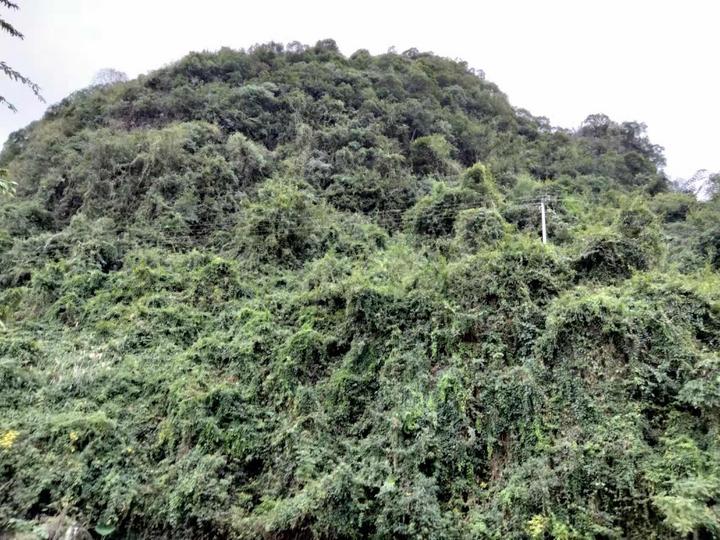 边界美景(图7)