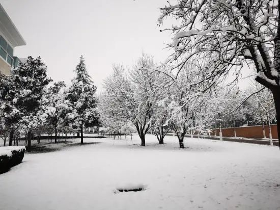 雪后河南校园真美