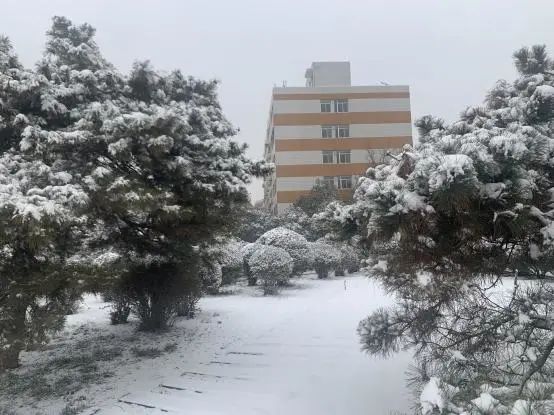 雪后河南校园真美