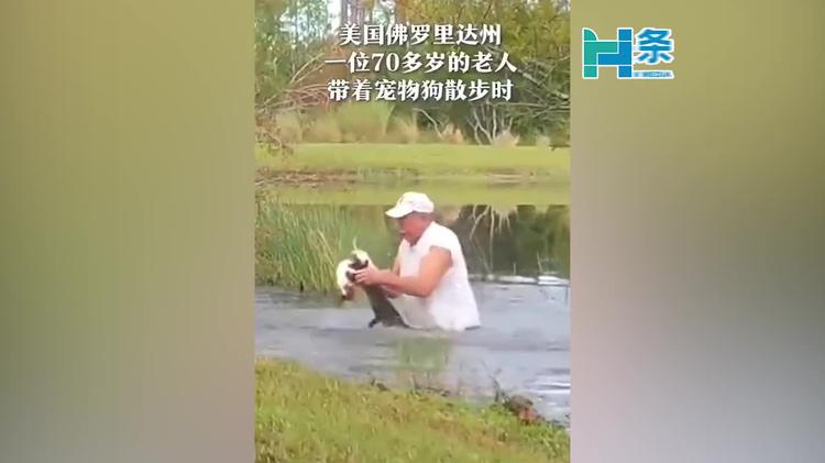 佛罗里达州一位老人徒手掰开鳄鱼只为救下爱犬_温尼伯_新闻_华人头条