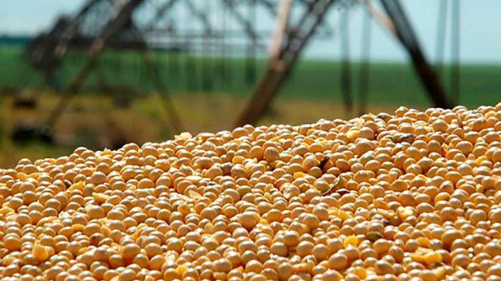 Melhora preço da soja disponível em Mato Grosso – Só Notícias