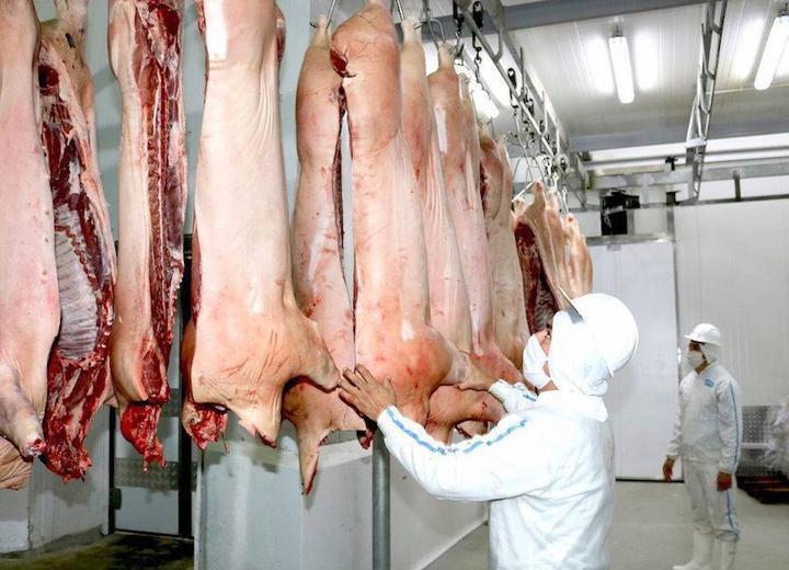 Carne porcina paraguaya, a la espera de poder abrirse al mercado de Taiwán - capitanbado.com