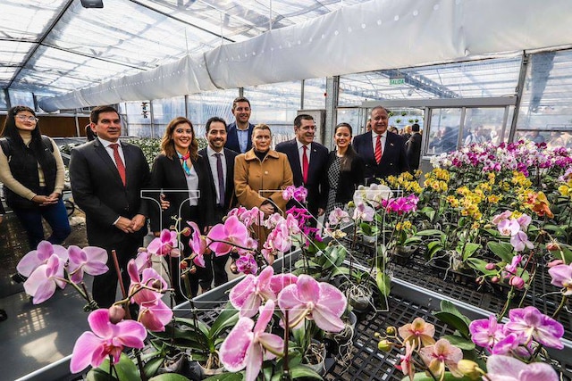 La Nación / Inauguran Floricultura del Paraguay, un invernadero de orquídeas que genera nuevas oportunidades laborales