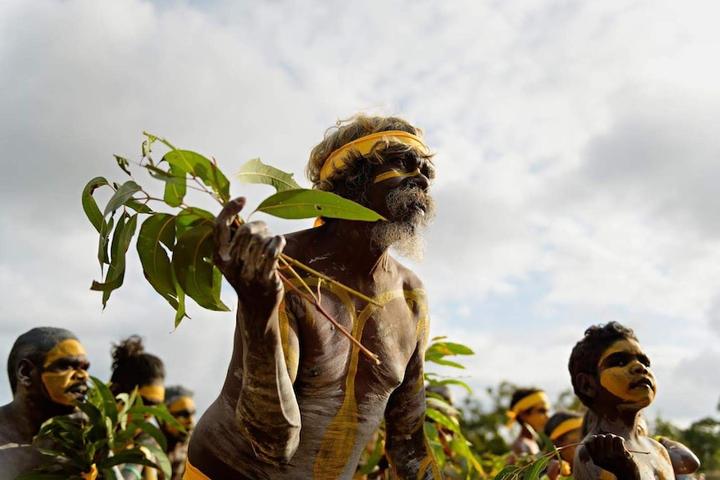 Indigenous dancer holding gum leaves and wearing yellow body paint.