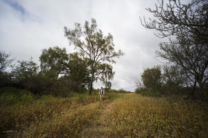 Chaco: a segunda maior floresta da América do Sul caminha para o colapso - Notícias ambientais