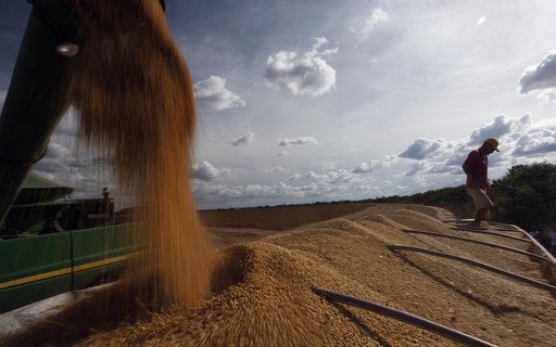 Brasil terá produção recorde de soja e milho na safra 2020/2021, prevê Conab - Revista Globo Rural | Agricultura