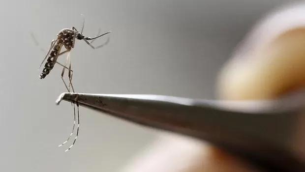 Em uma semana Ponta Porã tem 14 novos casos suspeitos de Dengue e 13 confirmações