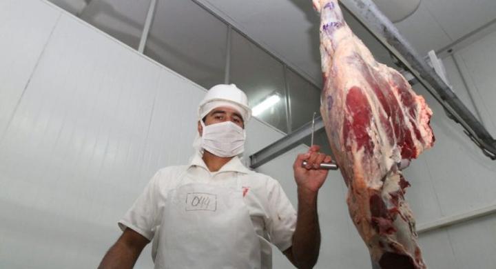 Técnicos canadienses auditarán calidad de la carne paraguaya con miras a exportarla a su país - Revista PLUS