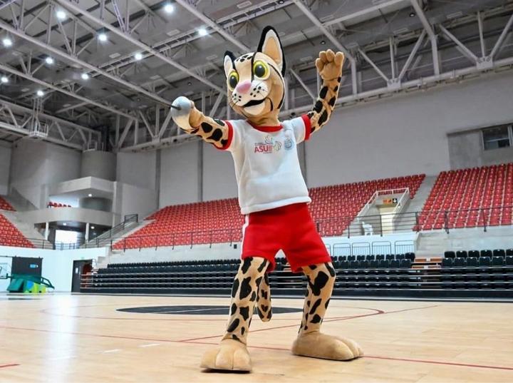 Tiríka is the mascot of the Suramericanos Asunción 2022 - Líder en deportes