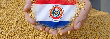 Paraguay: Se prevé recuperación en producción de soja ciclo 2019/2020 - nutriNews, la revista de nutrición animal