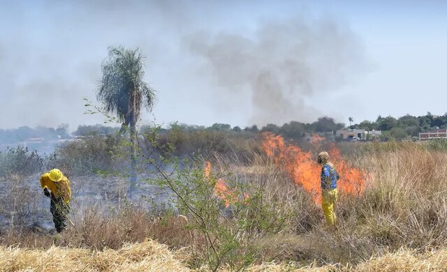 Se incrementan los focos de calor e incendios se desbordan en todo el país - Nacionales - ABC Color